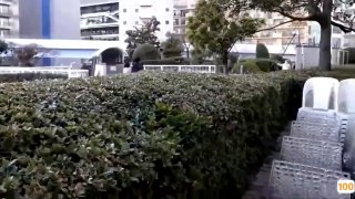 日韩三级电影一区